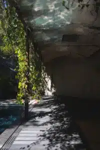 Allée en bois et piscine sous voûte bétonnée, baignées de soleil filtré par végétation luxuriante. Ombres et reflets aquatiques.
